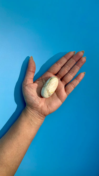 Unicorn Jasper Shiva – Option D