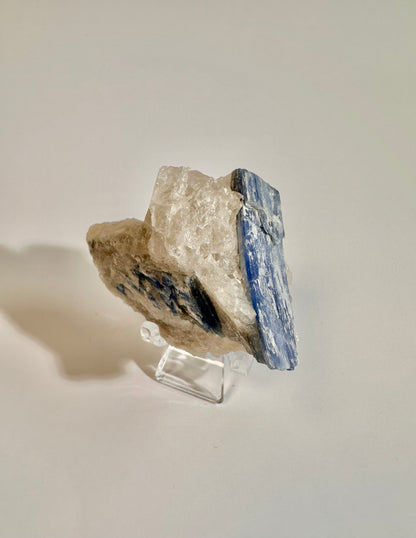 Kyanite in Quartz Cluster - F