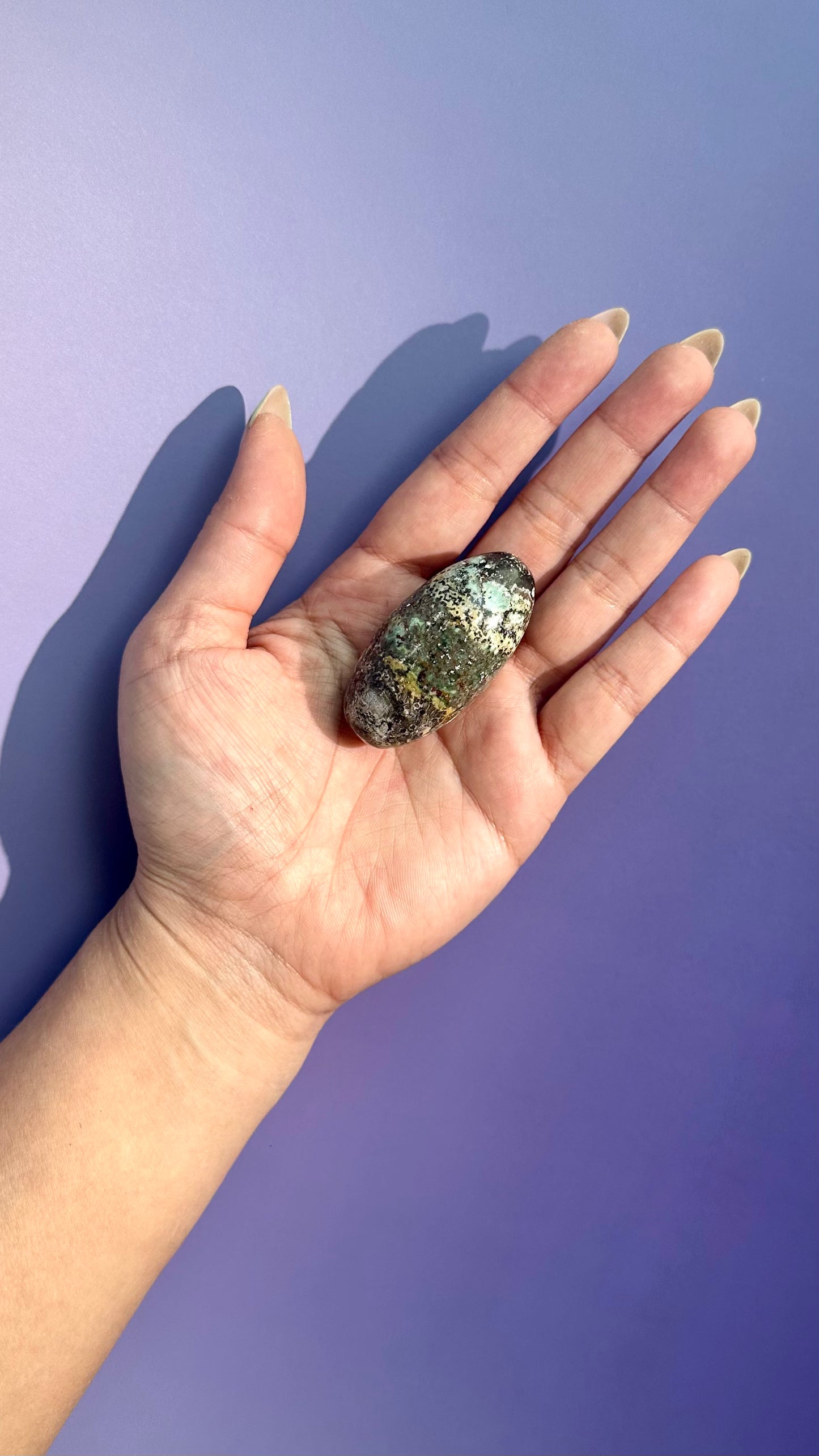 Unicorn Jasper Shiva – Option E