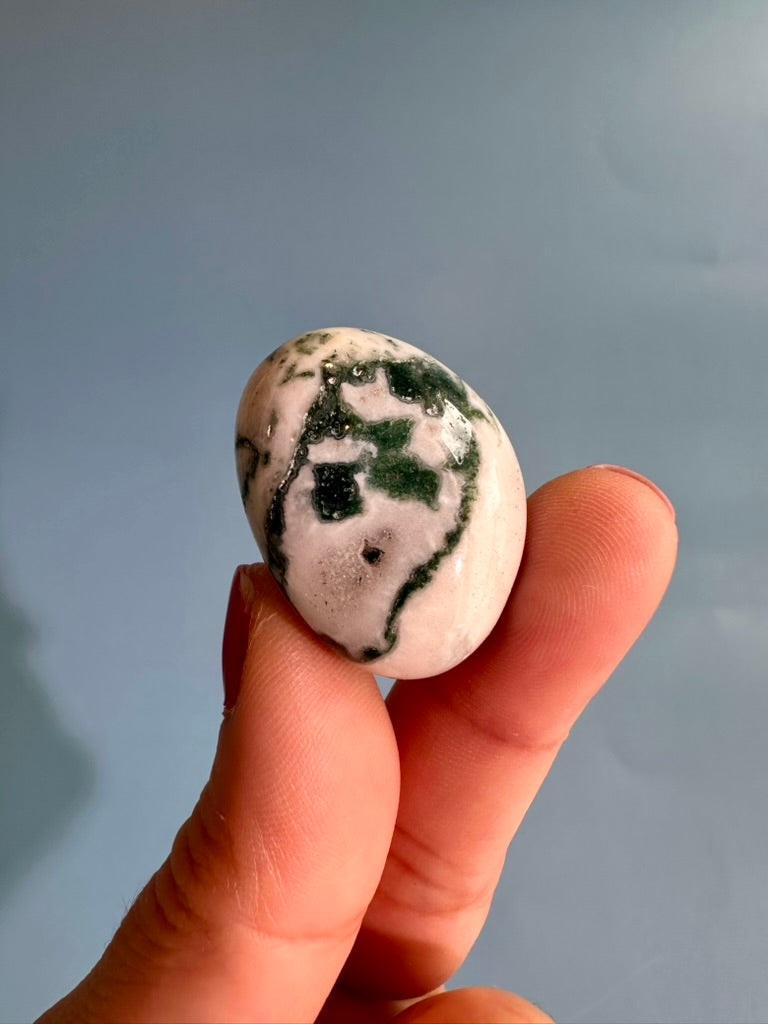 Tree Agate Tumble