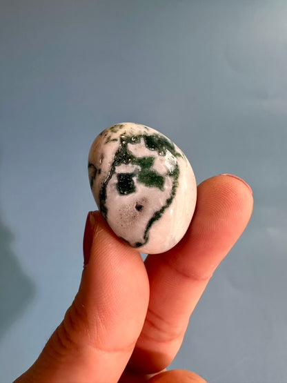 Tree Agate Tumble