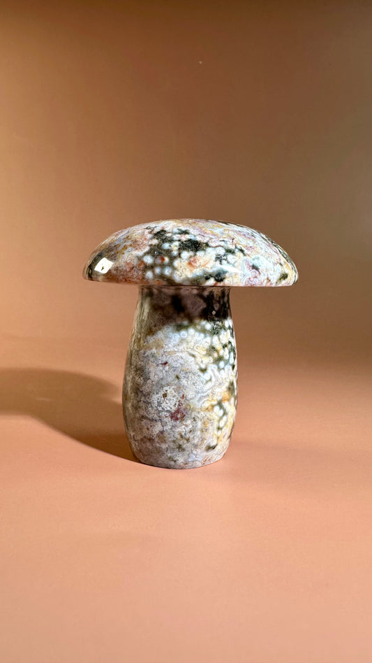 Ocean Jasper Mushroom – E