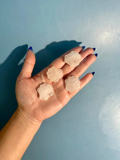 Small Clear Quartz Shell | Ocean Crystal Carving