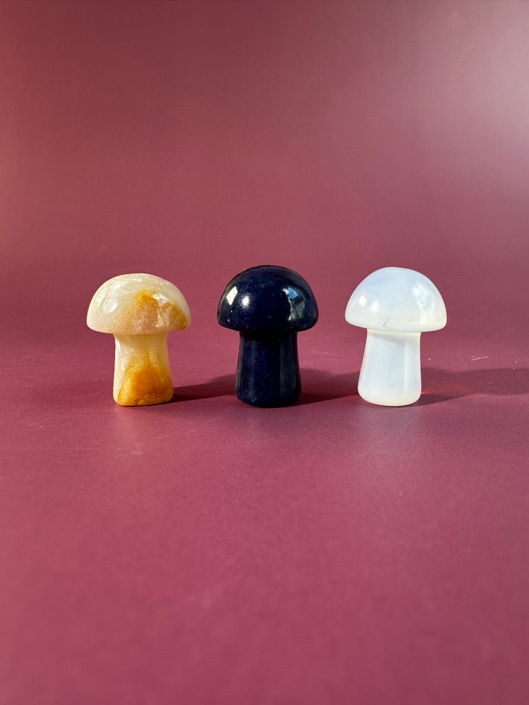 Perfectly Imperfect Misfit Bundle - C