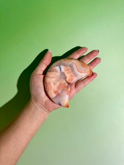 Carnelian Agate Crescent Moon on Black Stand – Option G | Collector Statement Crystal, Courage & Transformation