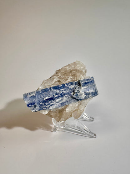 Kyanite in Quartz Cluster - F
