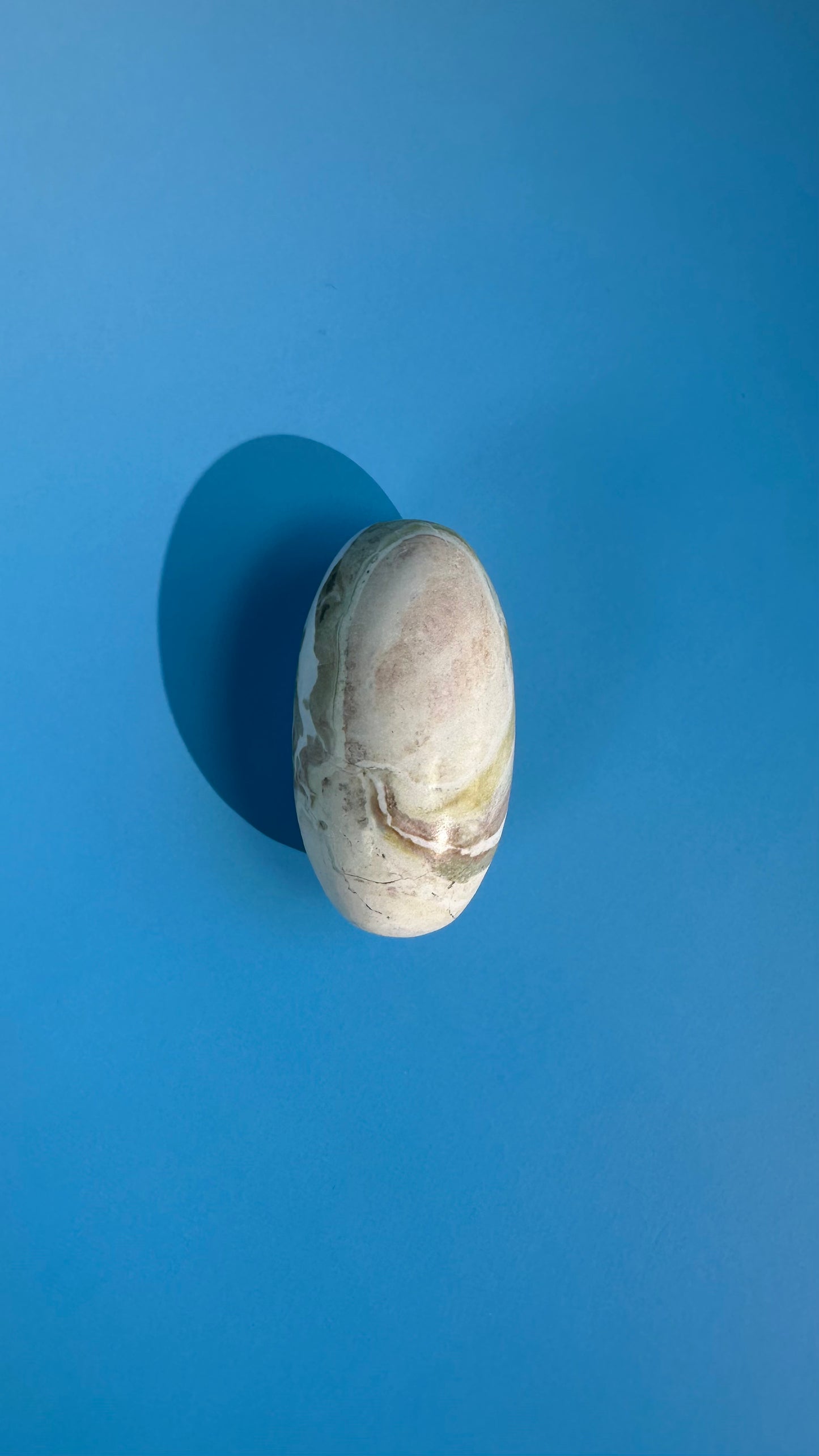 Unicorn Jasper Shiva – Option D