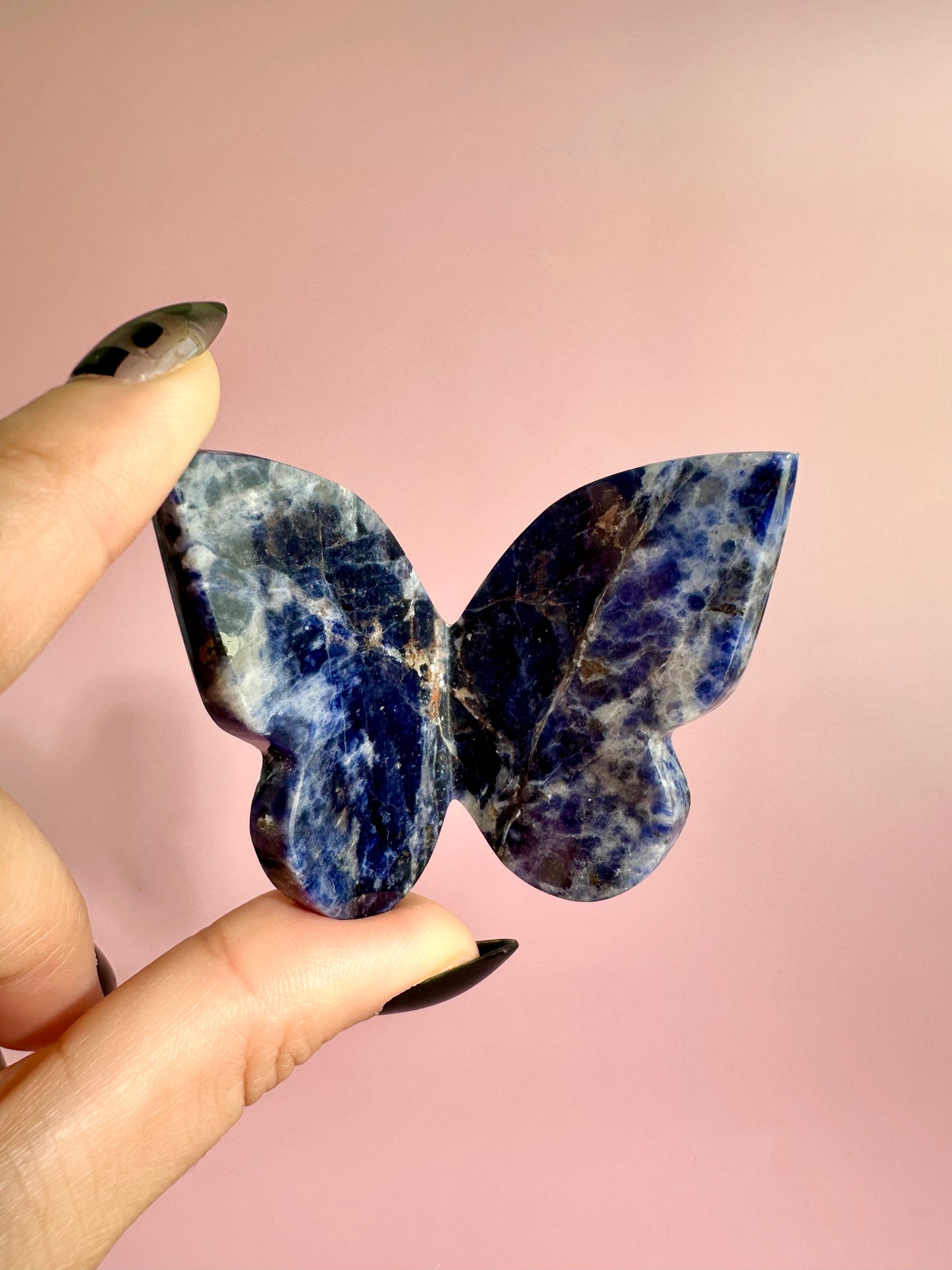 Sodalite 3D Butterfly Carving