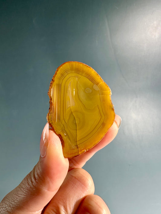 Agate Slice Option F | One-of-a-Kind Polished Natural Agate Display Piece