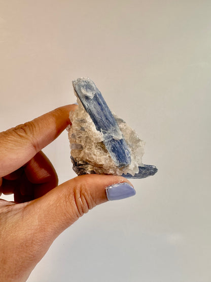 Kyanite in Quartz Cluster - D