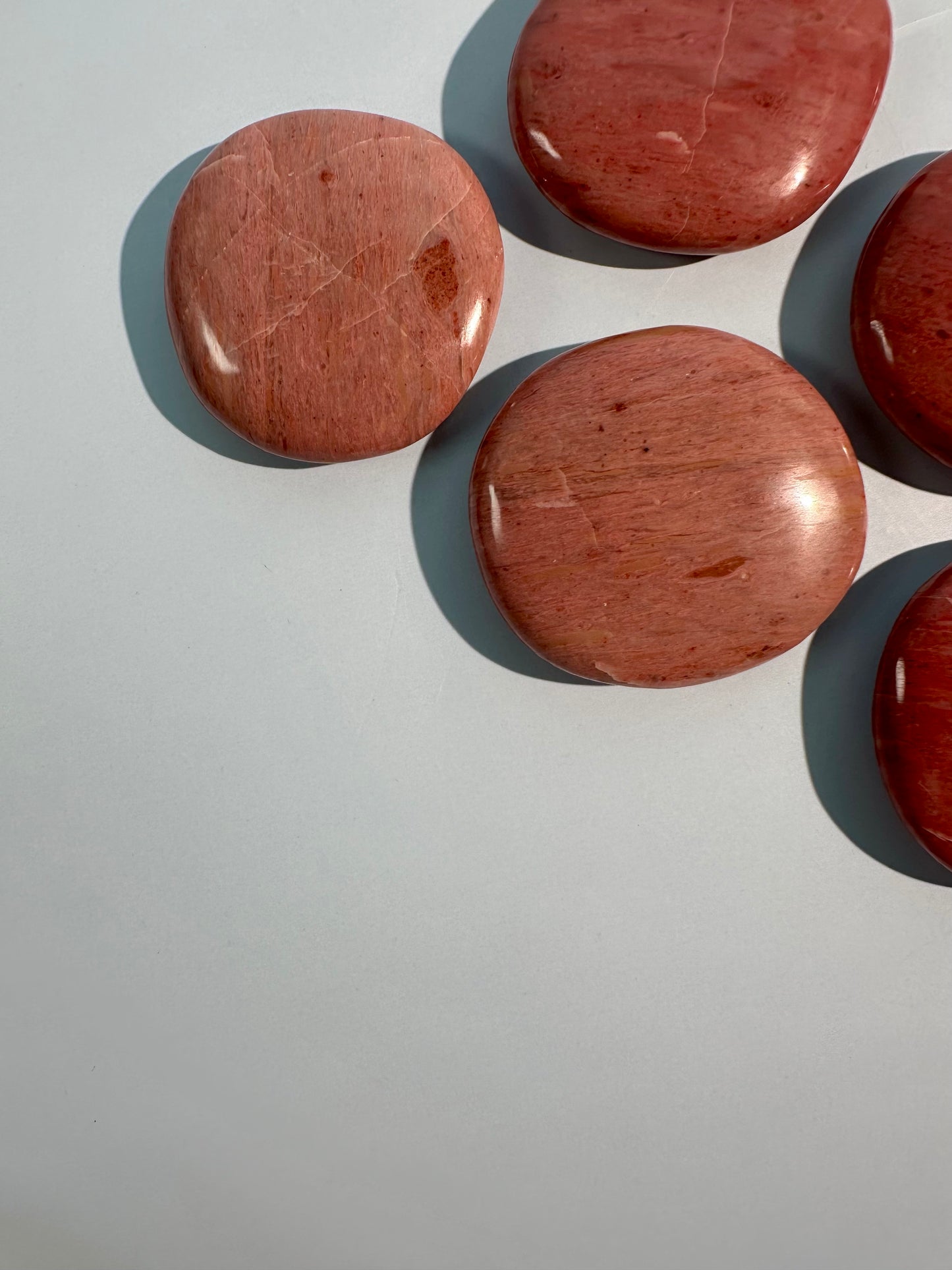 Pink Petrified Wood Round Flat Palm
