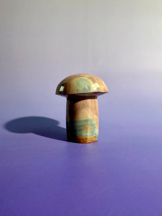 Polychrome Jasper Mushroom – Option C