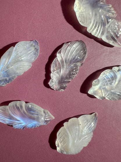 Mini Moonstone Koi Fish | Crystal Carving
