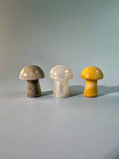 Perfectly Imperfect Misfit Bundle - F