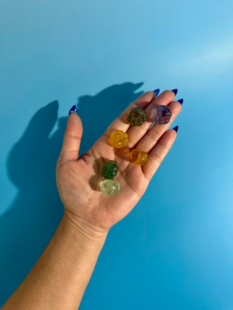 Small Rainbow Fluorite Paw | Crystal Paw Carving