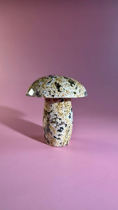 Ocean Jasper Mushroom – Option  D