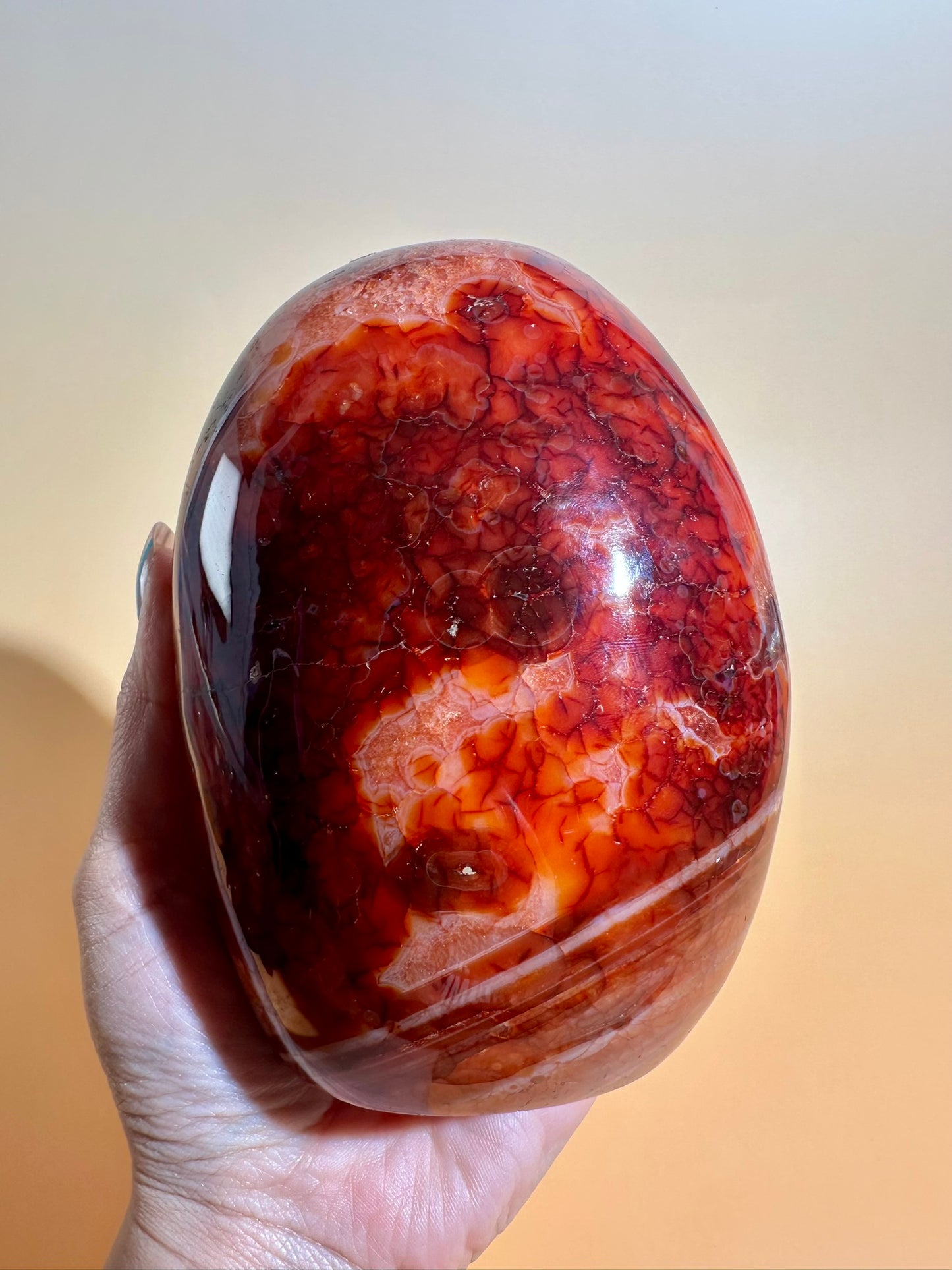 Carnelian Standing Freeform – Option K | Collector Crystal, Confidence, Passion & Vitality