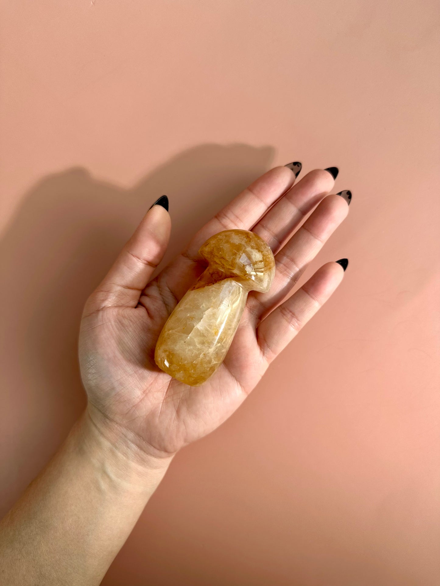 Golden Healer Mushroom