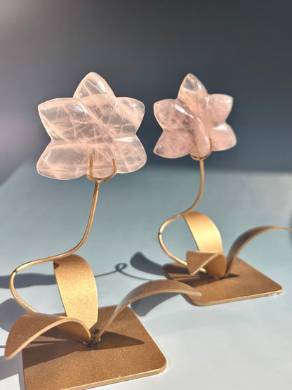 Rose Quartz Orchid Carving on Gold Stand | Intuitively Chosen Love, Grace & Heart Healing Energy