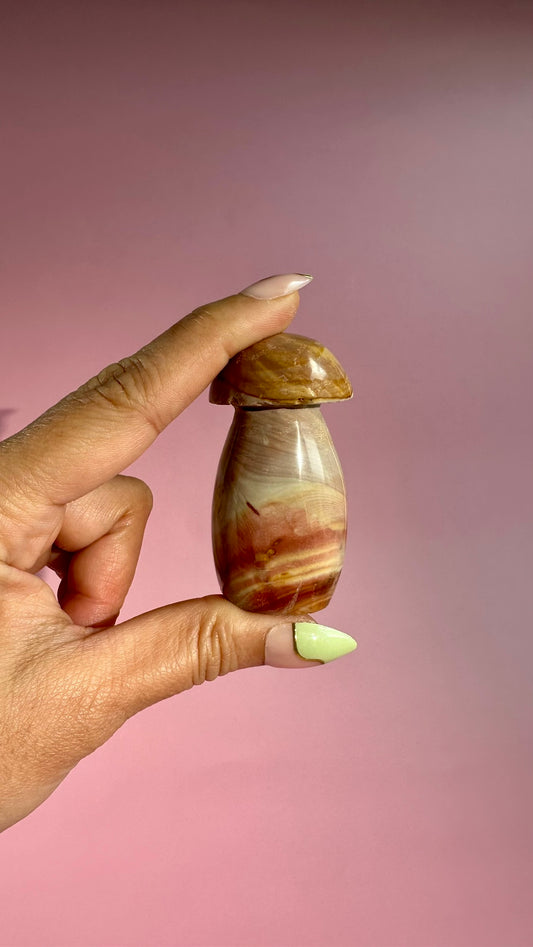 Perfectly Imperfect Small Sea Jasper Mushroom Misfit