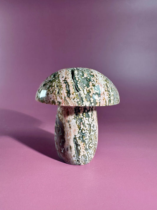 Ocean Jasper Mushroom - A