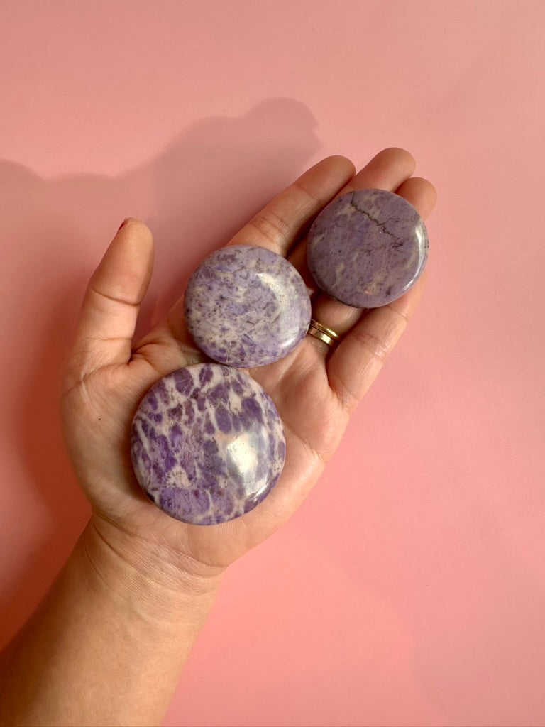 Purple Jade Flat Palm