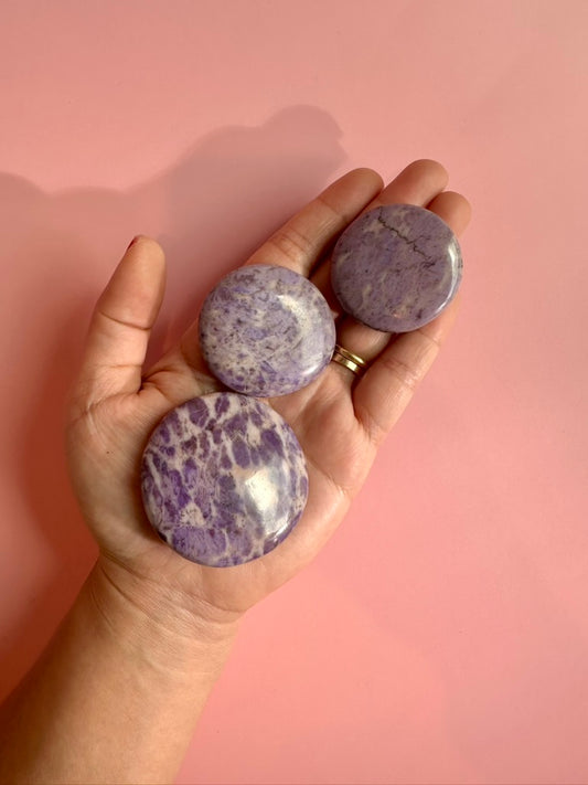 Purple Jade Flat Palm