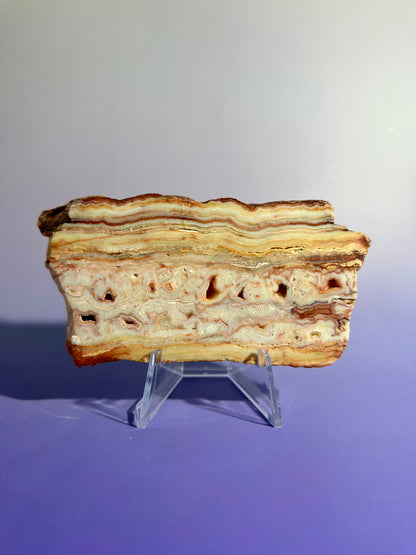 Pink Crazy Lace Agate Slab Option C | One-of-a-Kind Collector Crystal