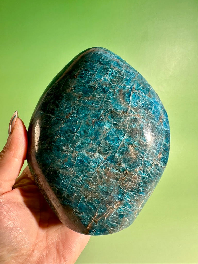 Blue Apatite Standing Freeform – Option E | Collector Crystal, Inspiration & Personal Growth