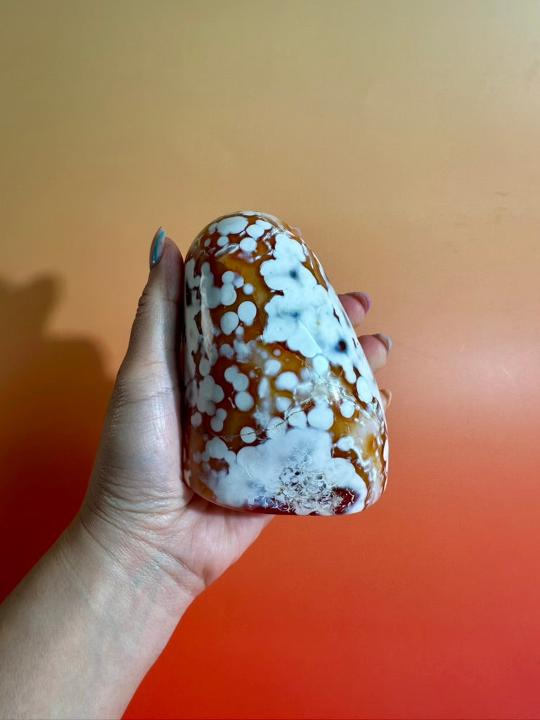 Carnelian Orca Agate Standing Freeform – Option G | Hidden Druzy Pocket, Abundance & Collector Crystal