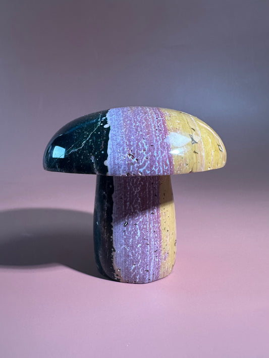 Ocean Jasper Mushroom - B