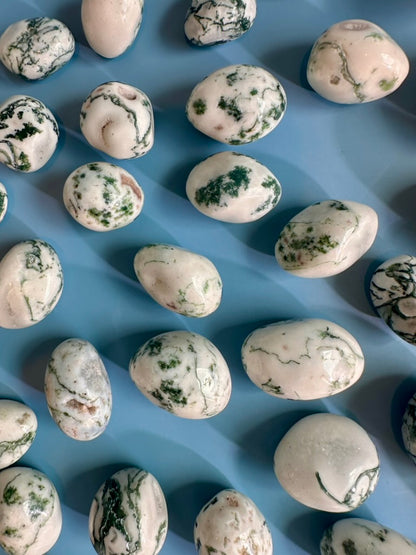 Tree Agate Tumble