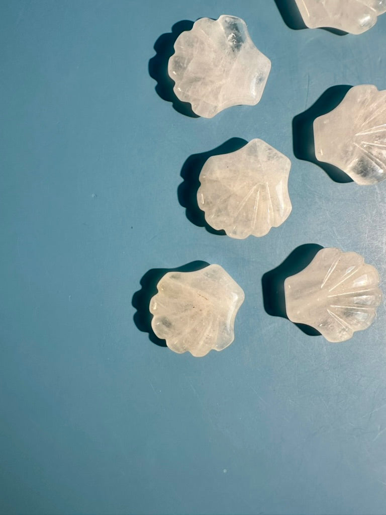 Small Clear Quartz Shell | Ocean Crystal Carving