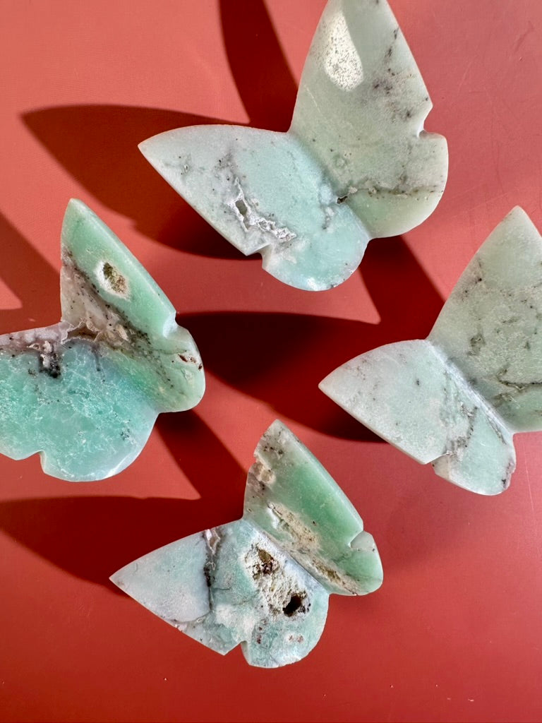 Intuitively Chosen Semi-Polished Chrysoprase 3D Butterfly | Renewal, Joy & Heart Healing Crystal