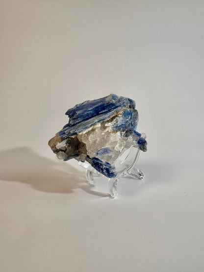Kyanite in Quartz Cluster - C