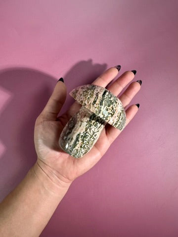 Ocean Jasper Mushroom - A
