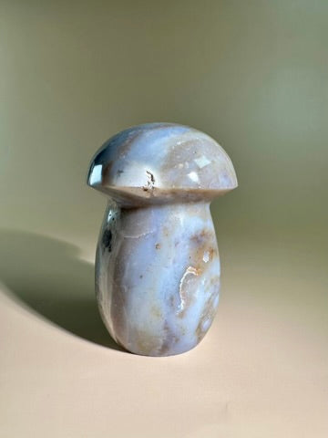 Sea Jasper Mushroom - A