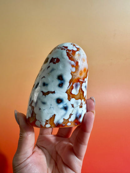 Carnelian Orca Agate Standing Freeform – Option G | Hidden Druzy Pocket, Abundance & Collector Crystal