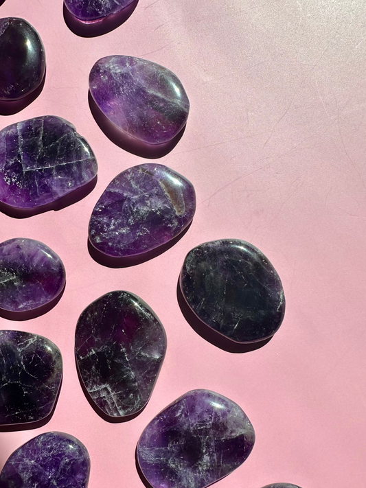 Amethyst Flat Palm