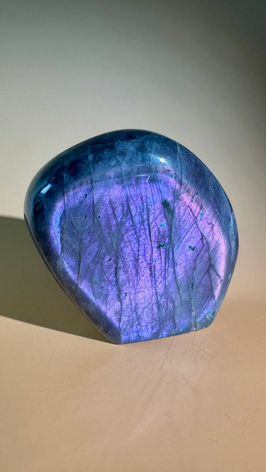 Large Purple Flash Labradorite Standing Freeform – Option A
