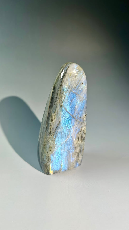 Large Blue Flash Labradorite Standing Freeform – Option K