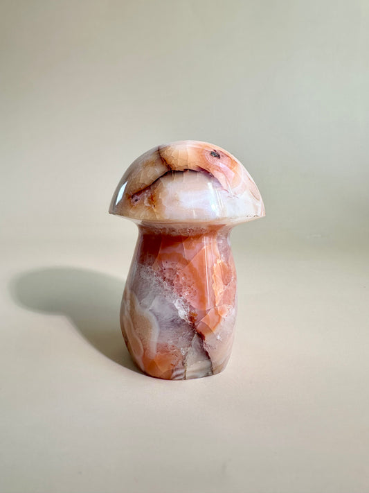 Carnelian Mushroom