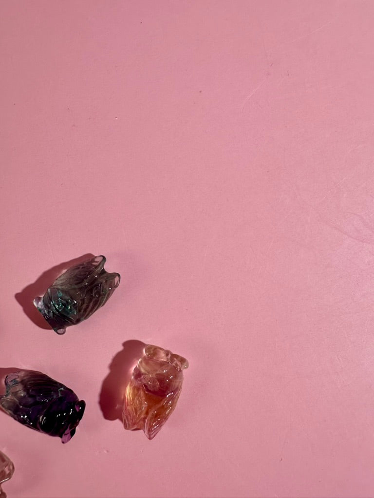 Mini Rainbow Fluorite Cicada | Insect Crystal Carving