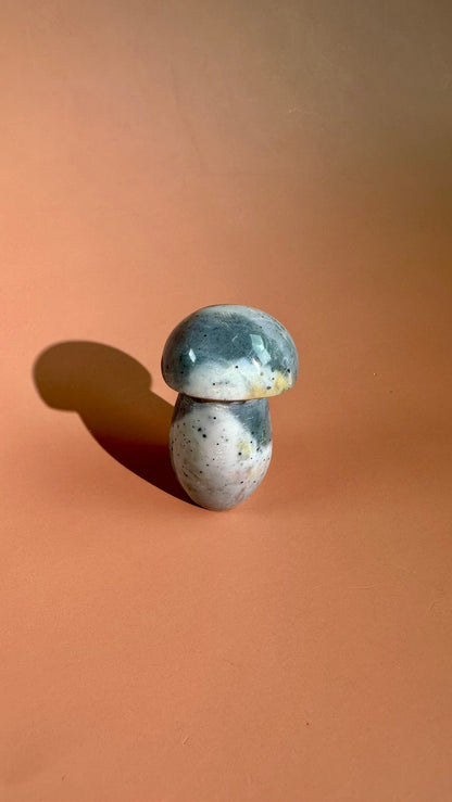 Small Sea Jasper Mushroom – Option B
