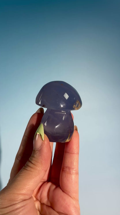 Blue Chalcedony Mushroom – Option B