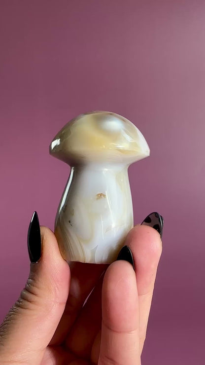 Agate Mushroom