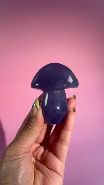 Blue Chalcedony Mushroom – Option D