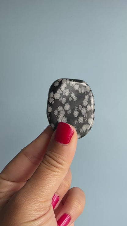 Snowflake Obsidian Flat Palm