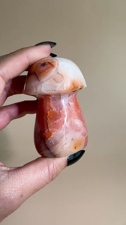 Carnelian Mushroom