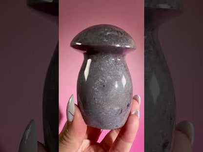Sea Jasper Mushroom – Option H